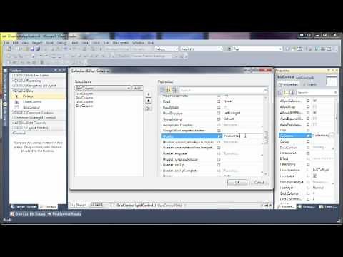 Silverlight Data Grid - Bind, Edit and Save Data with WCF RIA Services
