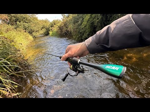 $12 TEMU Fishing Rod Challenge 🎣 | Budget Fishing Adventure