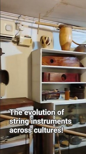 Evolution of String Music Instruments across the world| #music #guitar #world #shortvideo