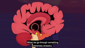 Film 1 - Understanding Trauma