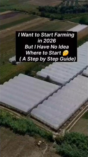 Polyhouse Construction in INDIA #hydroponics #greenhouseeffect #farmingtechniques #polyhouse #1m #1m