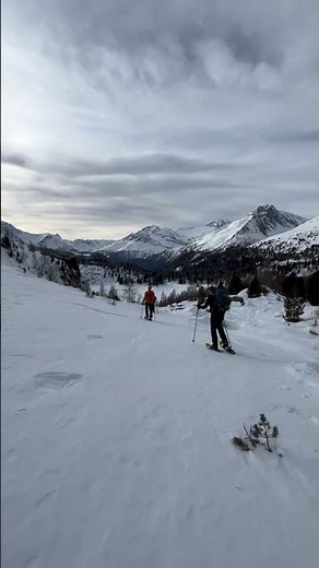 Snowshoe tours