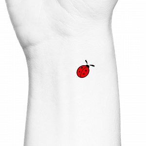 Cute Small Red Ladybug Temporary Tattoo / Dainty Ladybird Lady Beetle Insect Bug Temp Tattoo - Etsy