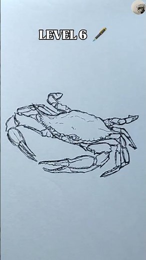 Drawing Crab in different level #art #drawing #sketch #ytshorts #crabdrawing #edit #artist