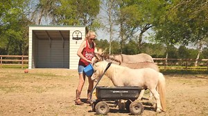 8K views · 21 reactions | Meet Jennifer’s 12x16 Lean-To Carport—repurposed into the perfect loafing shed for her animals  Strong, practical, and versatile, our buildings can be customized to fit any lifestyle. Try out your own design with our free 3D Builder https://alansfo.com/3FXqDUd | Alan's Factory Outlet | Facebook