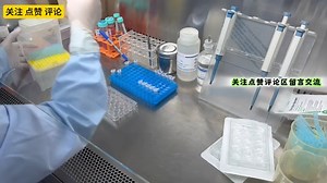 Transwell 实验原理及步骤(2)