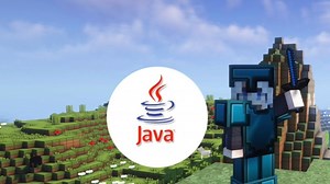 当基岩版大神来到Java版