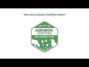 Why Does Audubon Certified Matter?