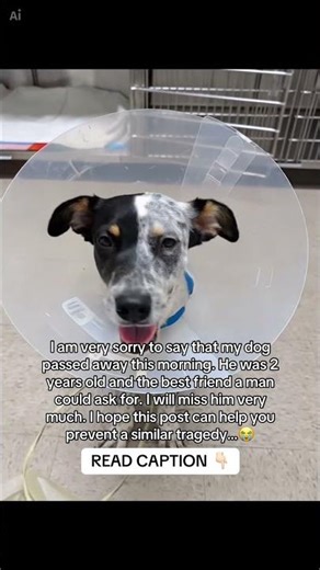 READ CAPTION 👇🏻