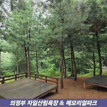 📍의정부 숲캉스 스팟!! 자일산림욕장 & 메모리얼파크 #경기도여행 ​#의정부가볼만한곳 #자일산림욕장 #의정부메모리얼파크 #경기북부명소 #의정부명소 #주말데이트 #가족나들이 #무료