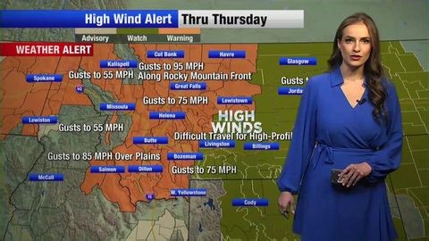 Weather alert: major wind event | Haystack News