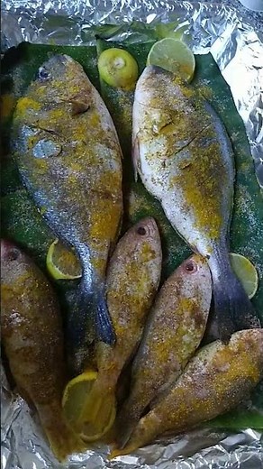 sea bream cook in the oven