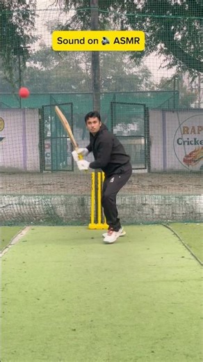 Cricket Asmr | Batting practice #batting #cricket #asmr