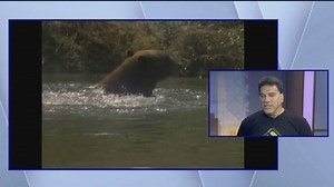 16K views · 109 reactions | Did the Incredible Hulk Lou Ferrigno...