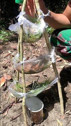 ​How to Survive: DIY Emergency Water Filtration System