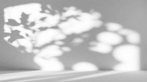 clip-3526293507-shadow-overlay-video-loop-gobo-animation-seamless