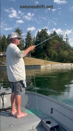 @Sage Fly Rods | Streamer Fishing fo Trout. Proper role cast to single back cast.