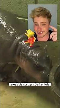 Personagens do desenho Backyardigans na vida real #biologia #animais