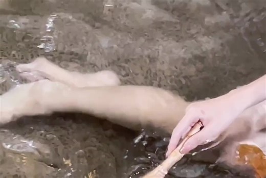 #好剧推荐 喜迎新春性视界新剧《八艳淫新》火辣来袭,xsj.tv等你来 。#美女 #女神 #妹子 软萌俏皮up,乖巧听话易推倒～