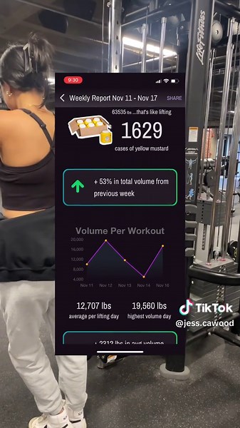 Weekly Workout Reports for RYSE Users