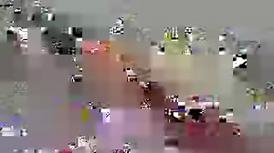 3.2M views · 254K reactions |  Cutest Koala Compilation of all time!  With Save the Koala Day tomorrow 25 September, we have partnered with Messenger and the Australian Koala Foundation to host the world's first ever Messenger Koala Room. Meet and learn about and our adorable koalas without having to leave your living room by tuning in to our Symbio Wildlife Park Facebook page at 9am AEST and joining in. | Symbio Wildlife Park | Facebook