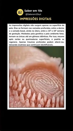 Cada impressão digital é única #curiosidades