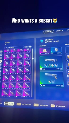 Nobody got a better stash in eu #arcraiders #stellamontis #bobcat #bluegate