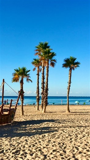 248 reactions · 11 comments | ✨ ¡Les invitamos a descubrir la magia de Calpe! ✨ Acompáñennos en un viaje corto, pero lleno de encanto, por sus playas preciosas! ️ #Calpe #CostaBlanca #Spain #Playas #España #Vacaciones #MagiaDelMar #spainlove #spanien #spanienurlaub #TurismoEspaña #ViajarPorEspaña #PlayaPerfecta #Aventura #Mar #Sol #Escapada #VacacionesDeVerano #TravelLovers #SpainTravel | Calpe - Costa Blanca, Spain | Facebook