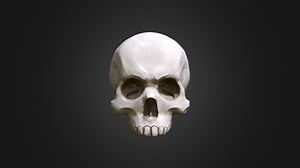 Stylized Skull - Buy Royalty Free 3D model by Max Doroszewski (@MDoroszewski)