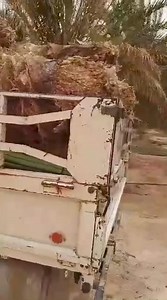 4.5K views · 128 reactions | #جديدنا__لاينتهي ، السيارة في الطريق لكم...