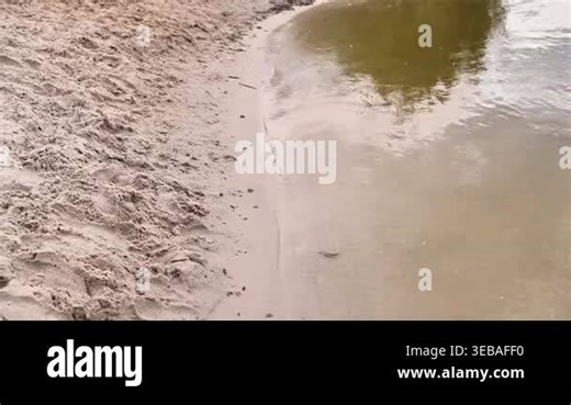 Beach shoreline with wet sand meeting calm water, soft wave line forming natural texture. Quiet beach landscape with shallow water reflection and smooth sand surface, peaceful nature background sky Stock Video Footage - Alamy
