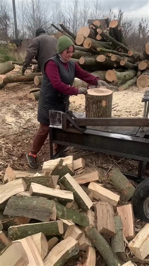 #forest #wood #woodcutting #usa #fyp | Wood Work