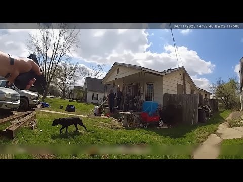 Police Tase Vicious Dog & Arrest Owner in Tense Standoff