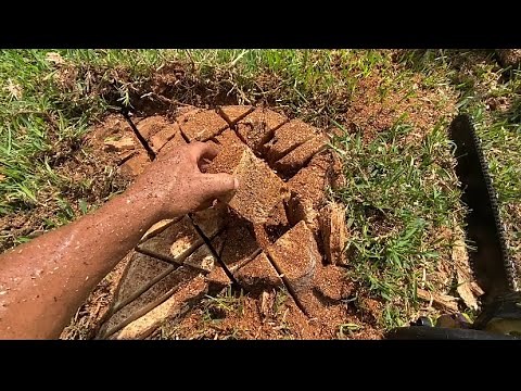 How to remove a stump without a grinder.