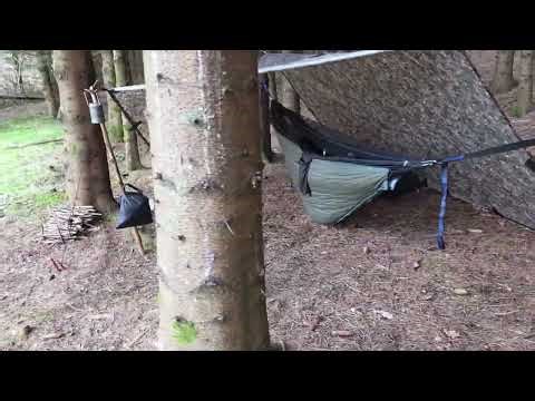 Solo Hammock Camp with My Dog 🐾 | Peaceful Scottish Forest