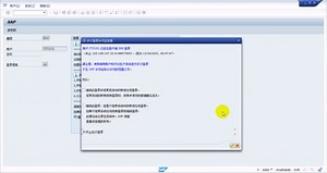 SAP系统如何登录？SAP系统登录的基本操作与设置