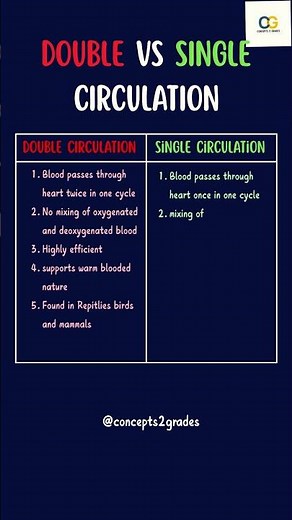 Single vs Double Circulation | Circulatory System Class10 | Life Processes CBSE NCERT#class10science
