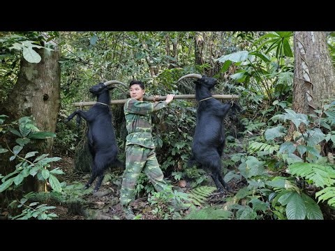 200 days of setting traps for pigeons, wild goats, fish, and hunting weasels in the wilderness