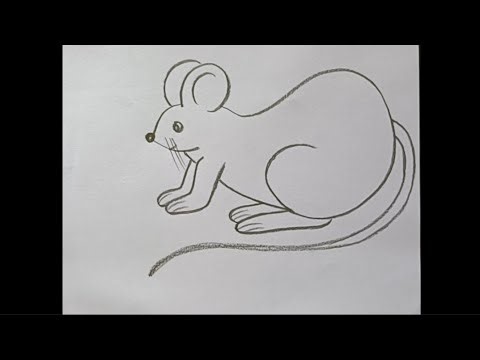 How to draw rat 🐀| mouse drawing for beginners