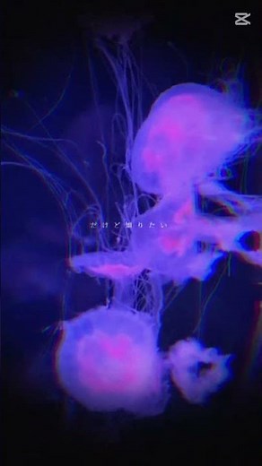 深海少女 #歌詞動画