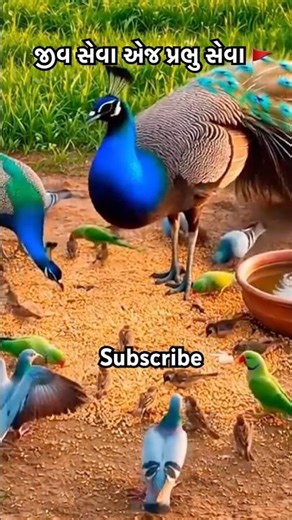 💐 Rame Didho Che Rudo Rotlo Re.🔥Mathur Kankariya Gujarati Songs.💯