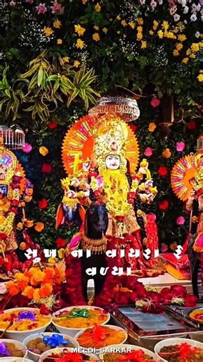 મેલડી આ ધાર તું કરે ઇ ખરું 🥺❣️🙏#reels #new #shorts #youtubeshorts #vairalvideo #trending