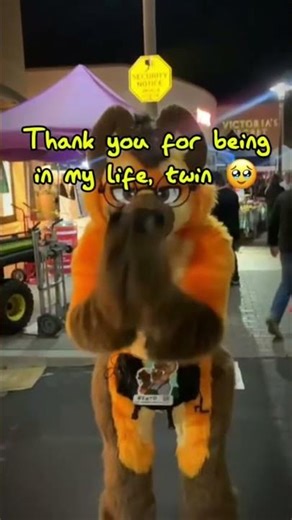 Thank you for being in my life, twin. #furry #fursuit #furrymeme