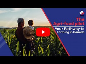 The Agri Food Pilot: Your Pathway to Farming in Canada