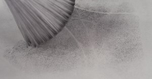 Julia Galef on Bayes' Rule