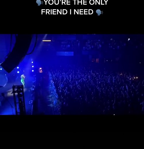 Live Performance of 'Ribs' by Lorde in DC