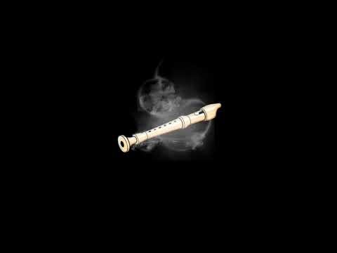 Flute Trap Beat - "NighTt" - Rap instrumental