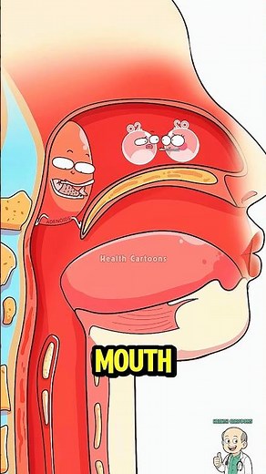 Why Mouth Breathing Ruins Your Face! 😱#shorts #science
