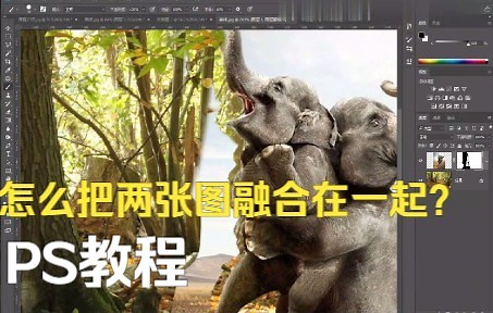 【PS 教程】 怎么把两张图融合在一起？