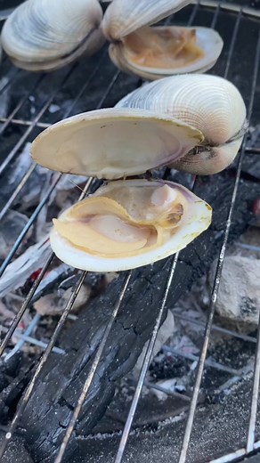 Delicious Grilled Cherry Stone Clams Recipe